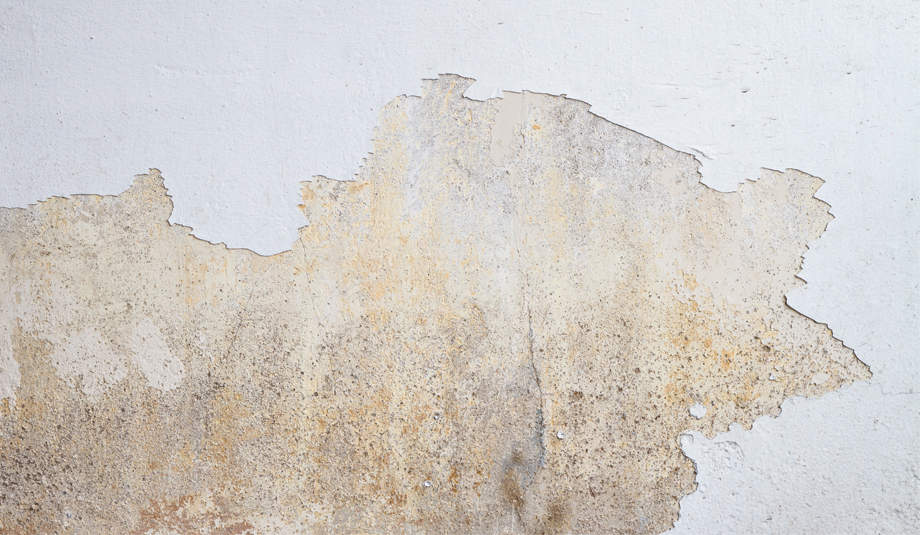 Manchas escuras, bolores e a queda da tinta são alguns dos sinais que denunciam infiltrações ou vazamentos escondidos nas paredes.